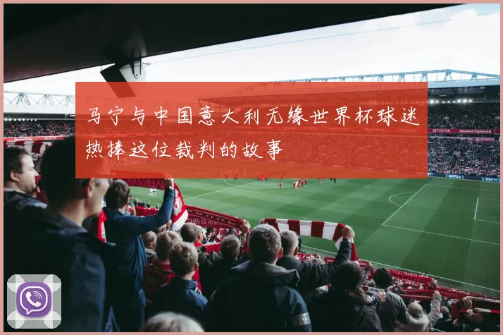 马宁与中国意大利无缘世界杯球迷热捧这位裁判的故事